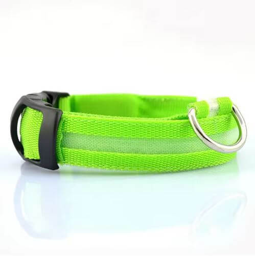 Collier LED pour Chien – Étanche, Réglable, à Piles – Anti - Perte et Haute Visibilité - AppyPaw