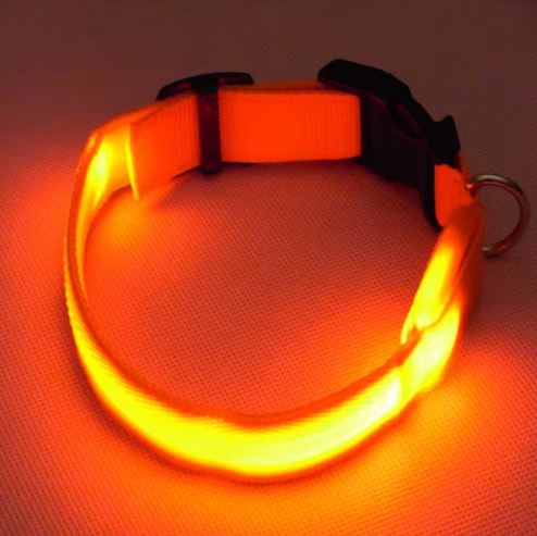 Collier LED pour Chien – Étanche, Réglable, à Piles – Anti - Perte et Haute Visibilité - AppyPaw