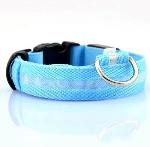 Collier LED pour Chien – Étanche, Réglable, à Piles – Anti - Perte et Haute Visibilité - AppyPaw